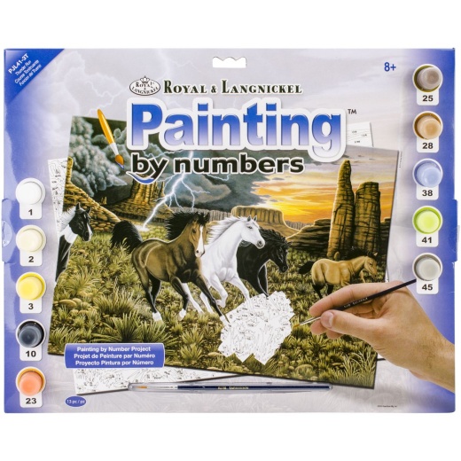 Junior Large Paint By Number Kit 15.25 X11.25 Inch Thunder Run Inch