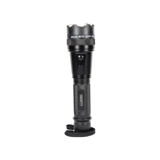 Flashlight Stun Gun