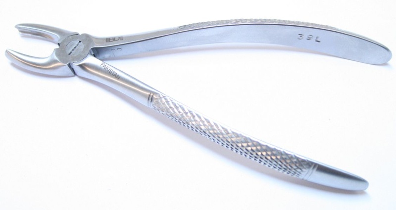 39L 1Pc Dental Instrument Extracting Forceps Stainless Steel
