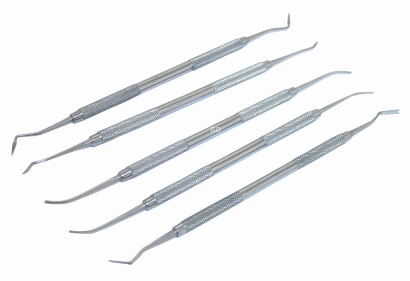 5 Pc Pk Thomas Stainless Steel Dental Instruments Set