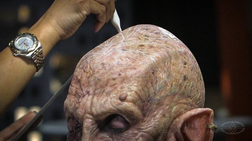 Stan Winston Character Hairwork: Hair Laying For Prosthetic Make-Up Macabeo Dvd