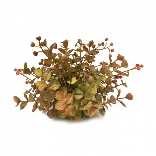 Eucalyptus Half Orb - Rust Color Decorative Piece