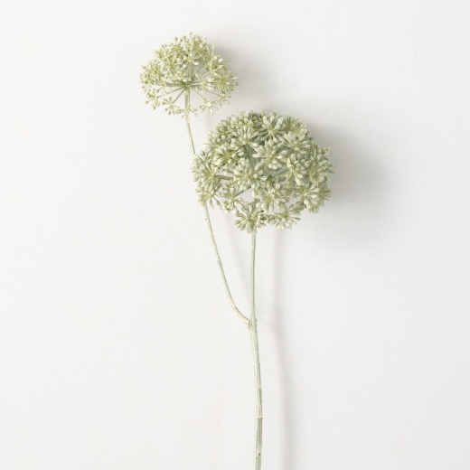 Light Green Eucalyptus Seed