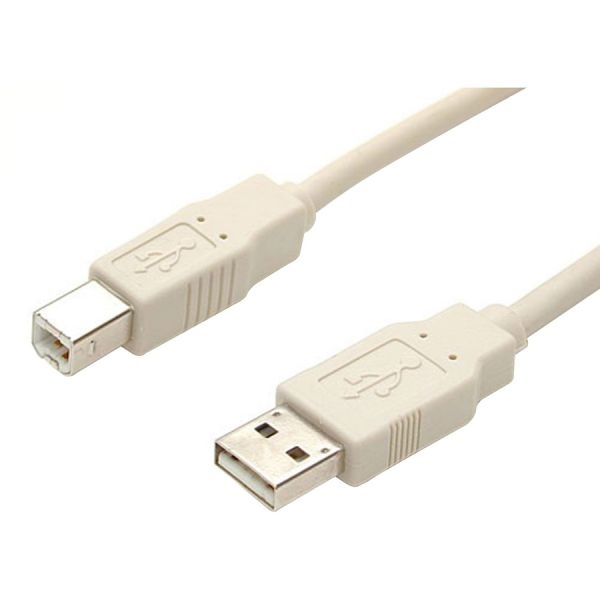 3 Ft Beige A To B Usb 2.0 Cable - M/m