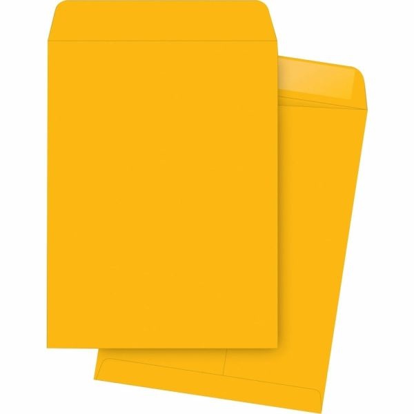 Business Source Kraft Gummed Catalog Envelopes - Catalog - 10" Width X 15" Length - 28 Lb - Gummed - Kraft - 250 / Box - Brown Kraft