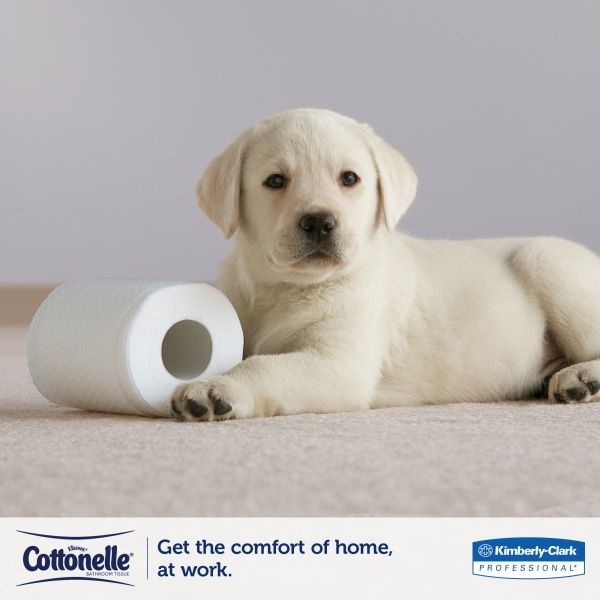 Scott Coreless Toilet Paper, 2-Ply, White, 4 X 4 Sheet, 800 Sheets/Roll, 36 Rolls/Carton