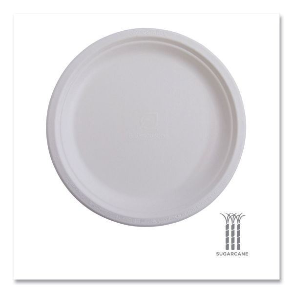 Eco-Products Vanguard Renewable And Sugarcane Plates, 6" Dia, White, 1,000/Carton