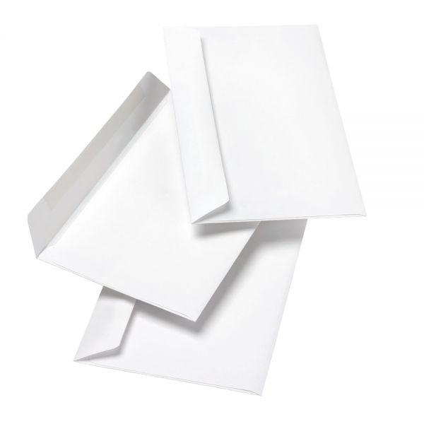 6" X 9" Catalog Envelopes, Booklet, Gummed Seal, White, Box Of 100