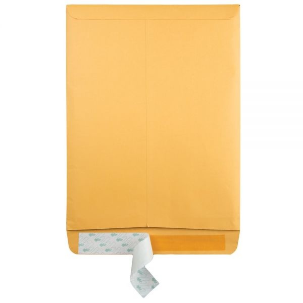 Quality Park Redi-Strip Catalog Envelope, #13 1/2, Cheese Blade Flap, Redi-Strip Adhesive Closure, 10 X 13, Brown Kraft, 100/Box
