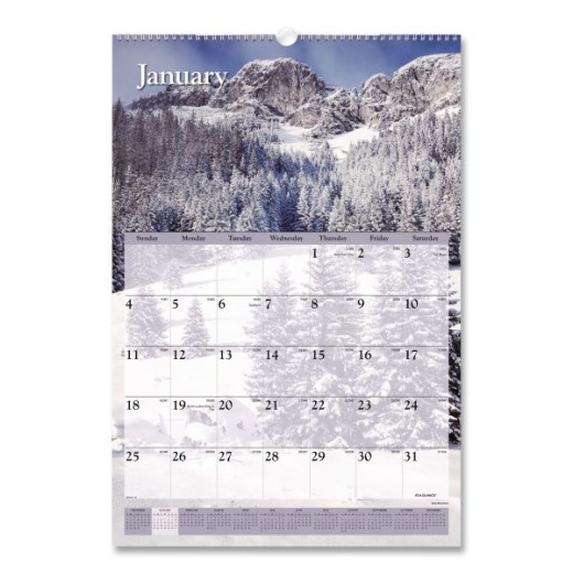 At-A-Glance Scenic Monthly Wall Calendar