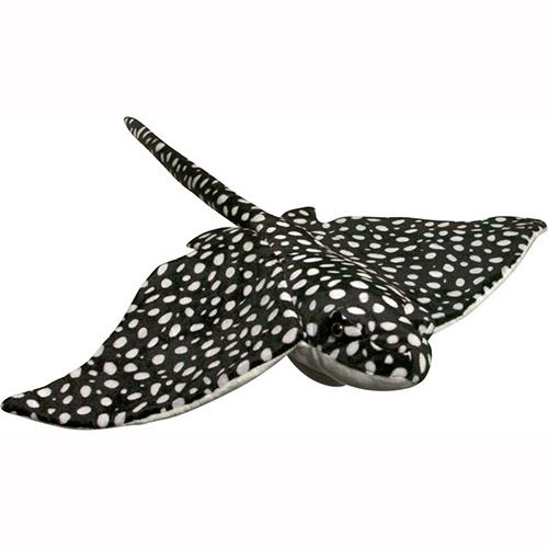 24" Spotted Eagle Ray