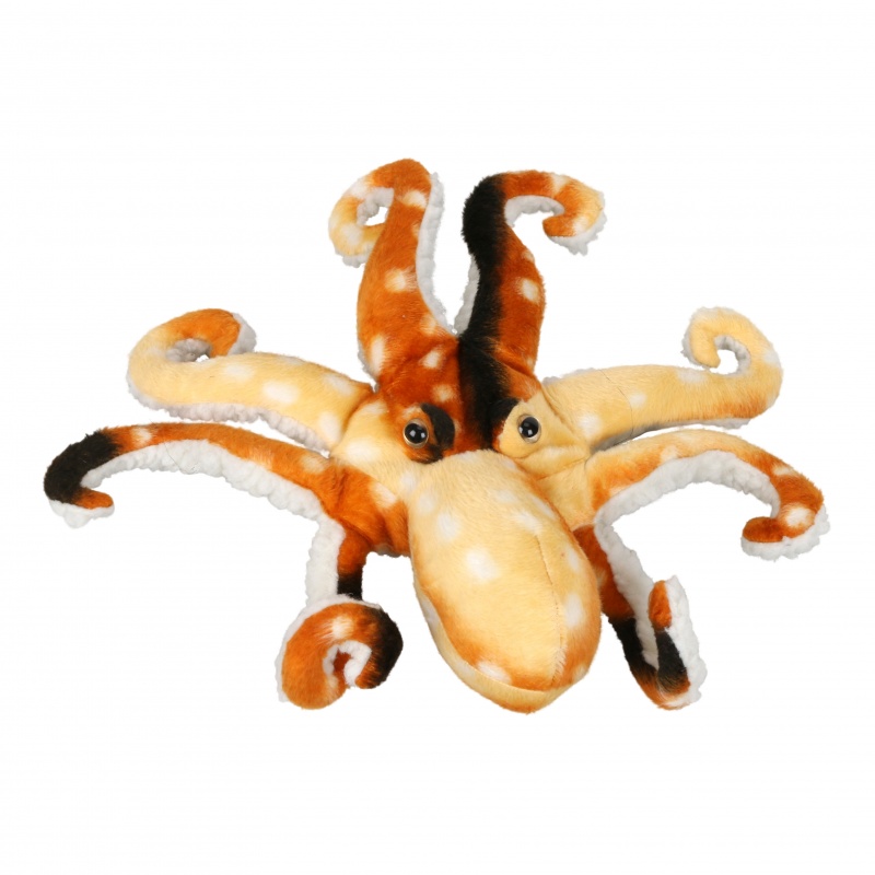12" Octopus
