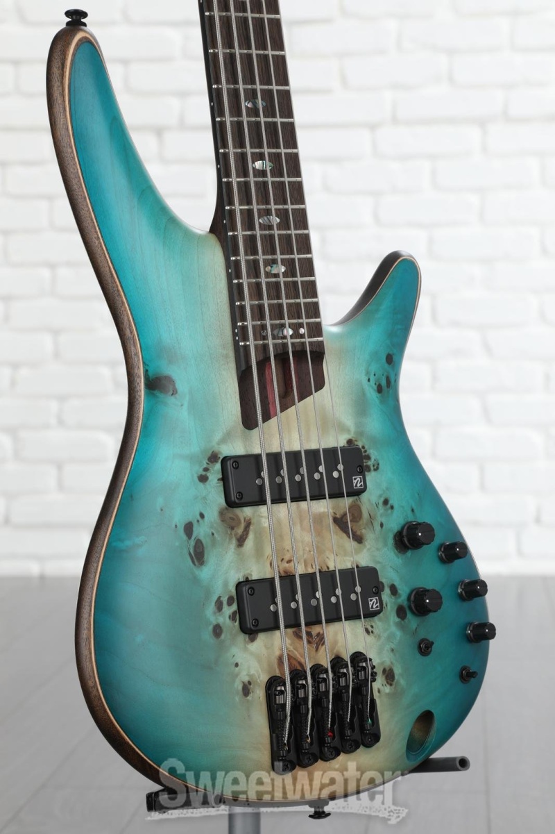 Ibanez sr1605b deals