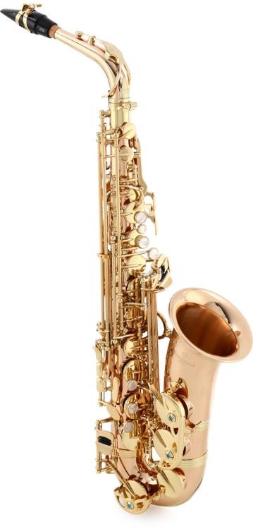 Yanagisawa Awo2 Professional Alto Saxophone - Bronze