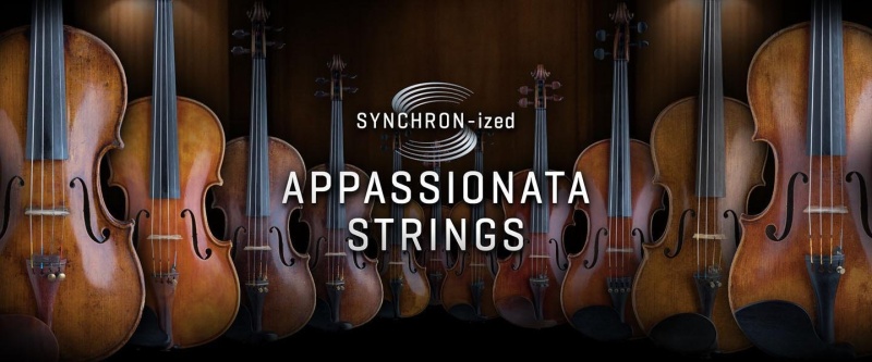 Vienna Symphonic Library Synchron-Ized Appassionata Strings - Standard
