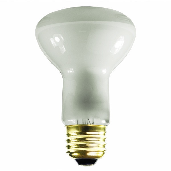 30 Watt - R20 Incandescent Light Bulb