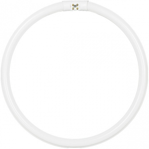 40 Watt - T5 Circline Lamp