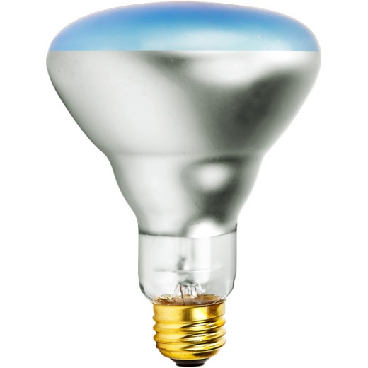 150 Watt BR30 Incandescent Grow Light