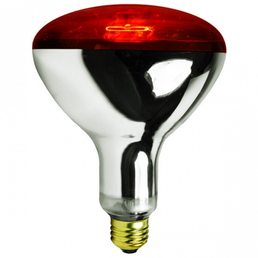 250 Watt R40 Infrared Heat Lamp