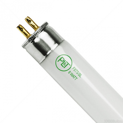 8 Watt T5 Fluorescent Black Light - F8T5BL