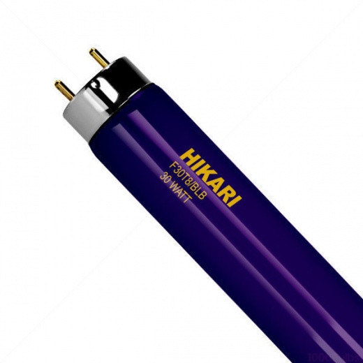 30 Watt T8 Fluorescent Black Light Blue F30t8blb