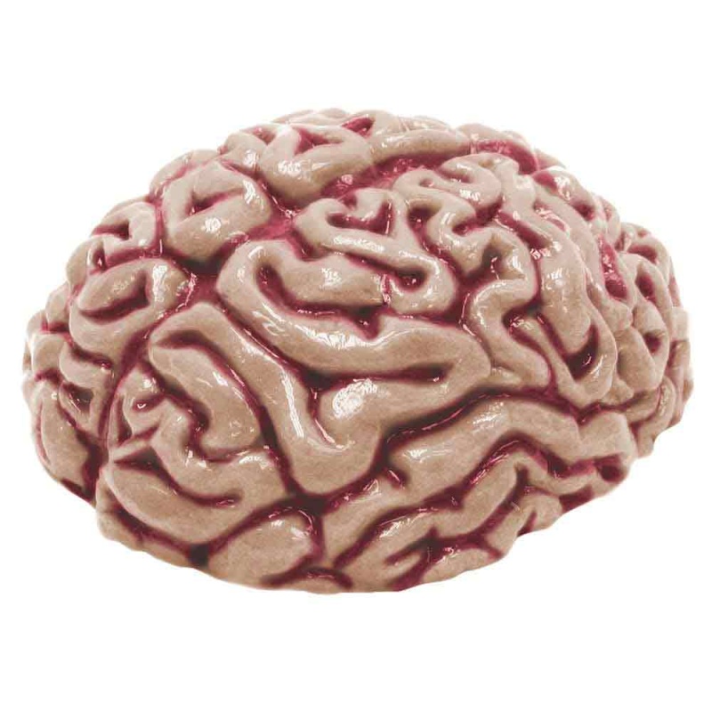 Brain Mold - Gelatin