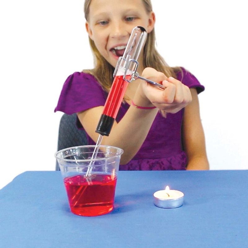 Home Science Lab Home Science Lab - Magnetic Field Fiesta