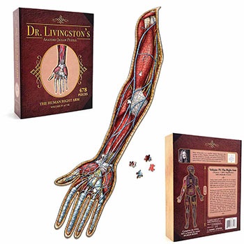Dr. Livingston's Anatomy Jigsaw Puzzles