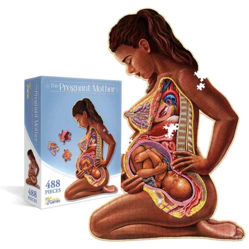 Dr. Livingston's Anatomy Jigsaw Puzzles, Life Science: Educational  Innovations, Inc.