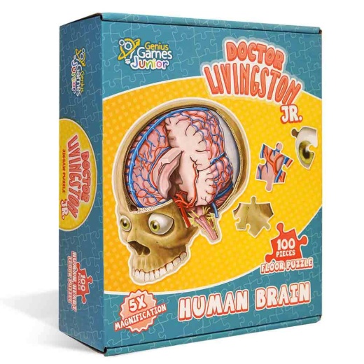 Doctor Livingston Jr. Human Brain Puzzle For Kids