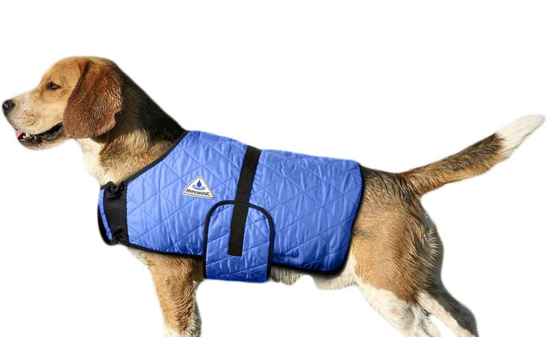 HyperKewl Evaporative Cooling Dog Coat: Blue, M
