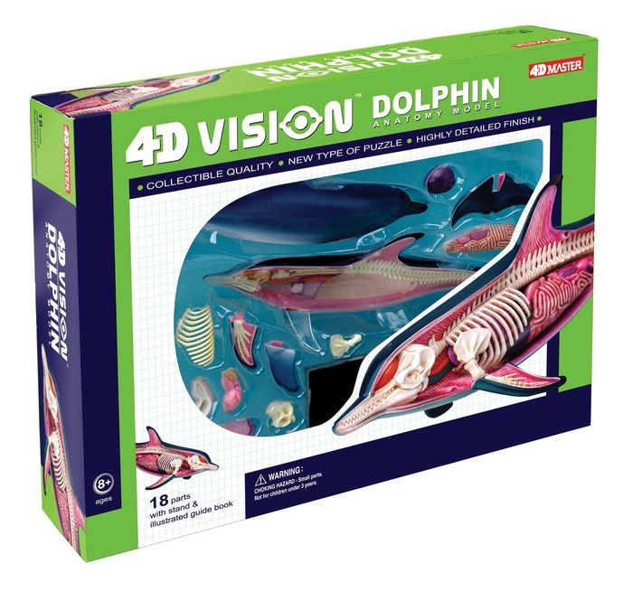 4D Dolphin