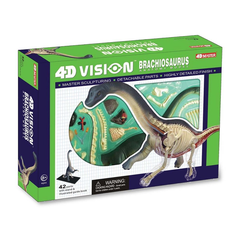 4D Brachiosaurus Vision Model