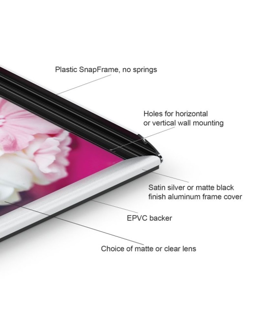 Hybrid Snapframes