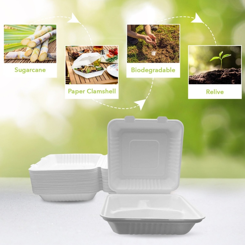 Three Leaf 9" X 9" 3 Compartment Bagasse Clamshell, 200 Ct. (2 Packs Of 100), 200 / Units Per Case