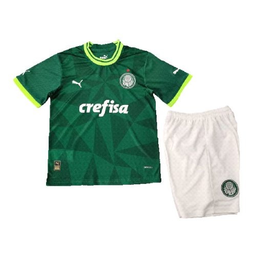 Kids 2023-2024 Palmeiras Home Soccer Kit, Size: 18