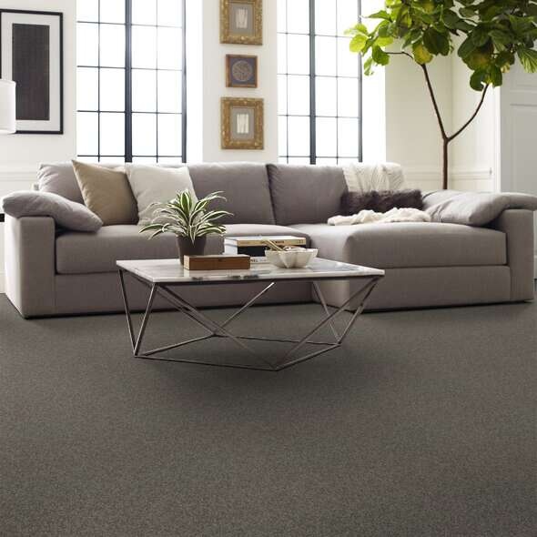 Soft Shades My Choice Ii Rustic Elegance Nylon Carpet - Textured