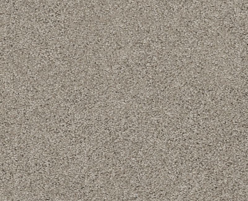 Anso Open I (T) Frosted Ice Nylon Carpet - Textured