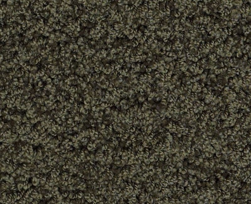 Playa Blanca Magic Emerald Nylon Carpet - Textured