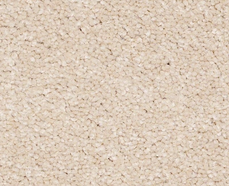 Qs161 15' Cashew Nylon Carpet - Textured