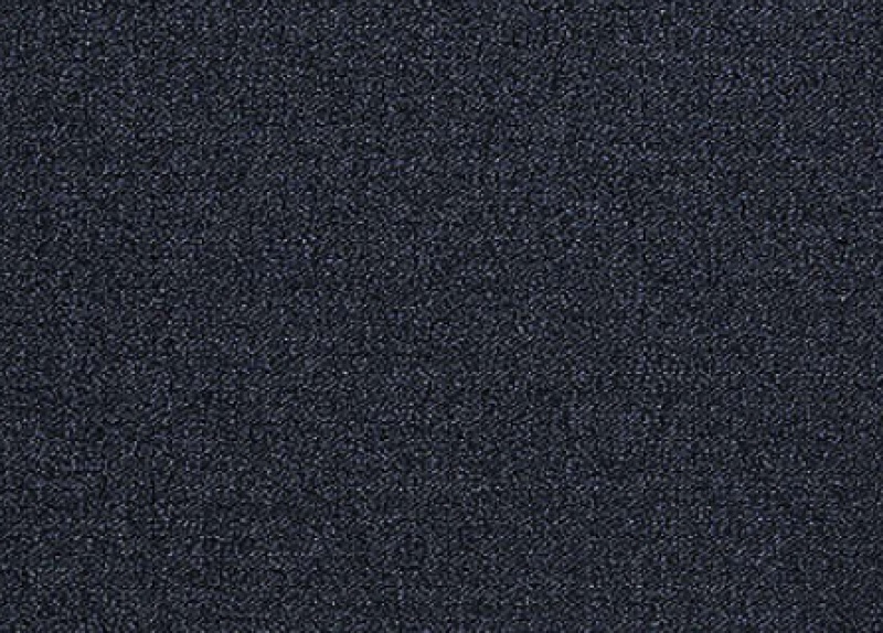Scholarship Ii 20 Obsidian Nylon Carpet - Loop
