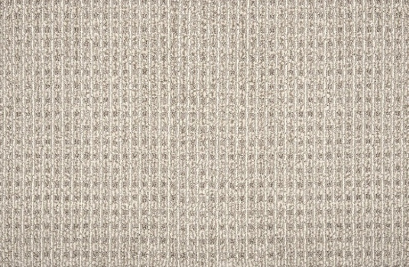Pet Guard Sir Leon Khaki Solution Dyed Polyes Carpet - Loop