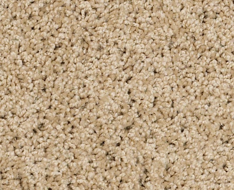 Playa Blanca Taffeta Nylon Carpet - Textured