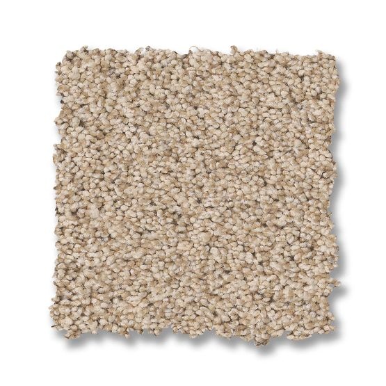 Fabulous Down Home Nylon Carpet - Textured