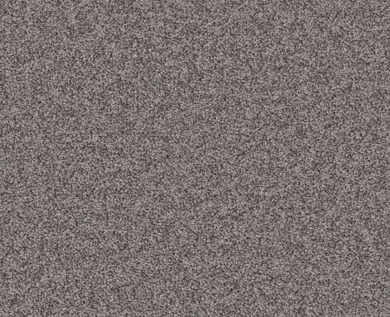 Memorable Ii Deep Connection Nylon Carpet - Loop