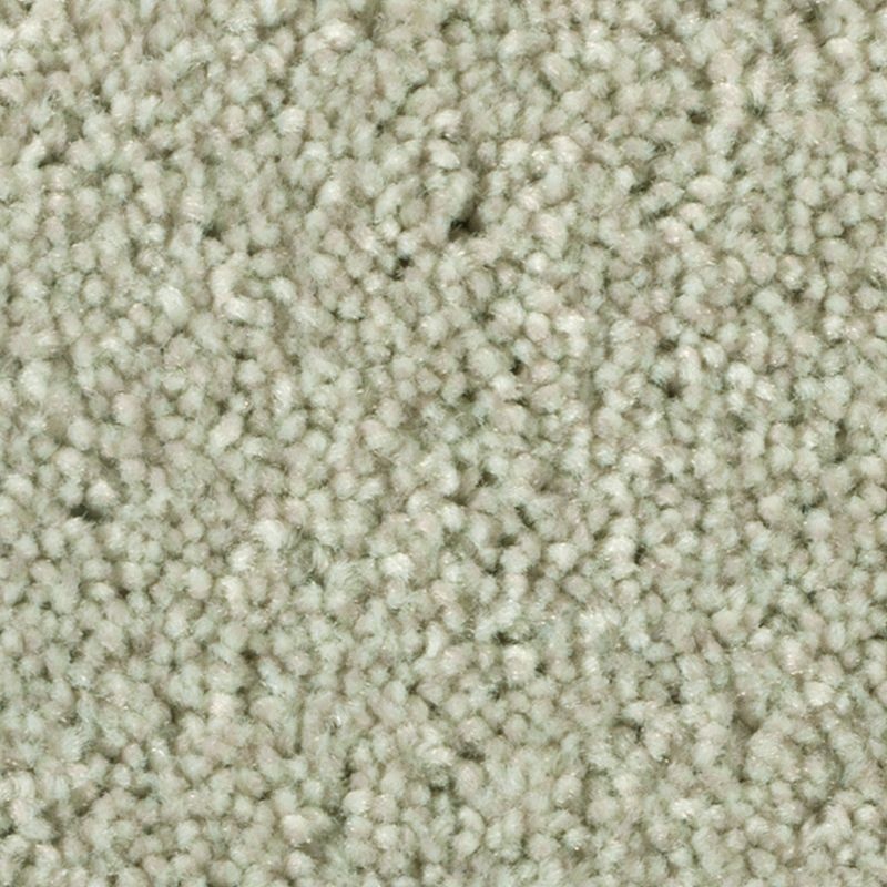 Distinct Beauty I Thatched Polyester Carpet - Textured