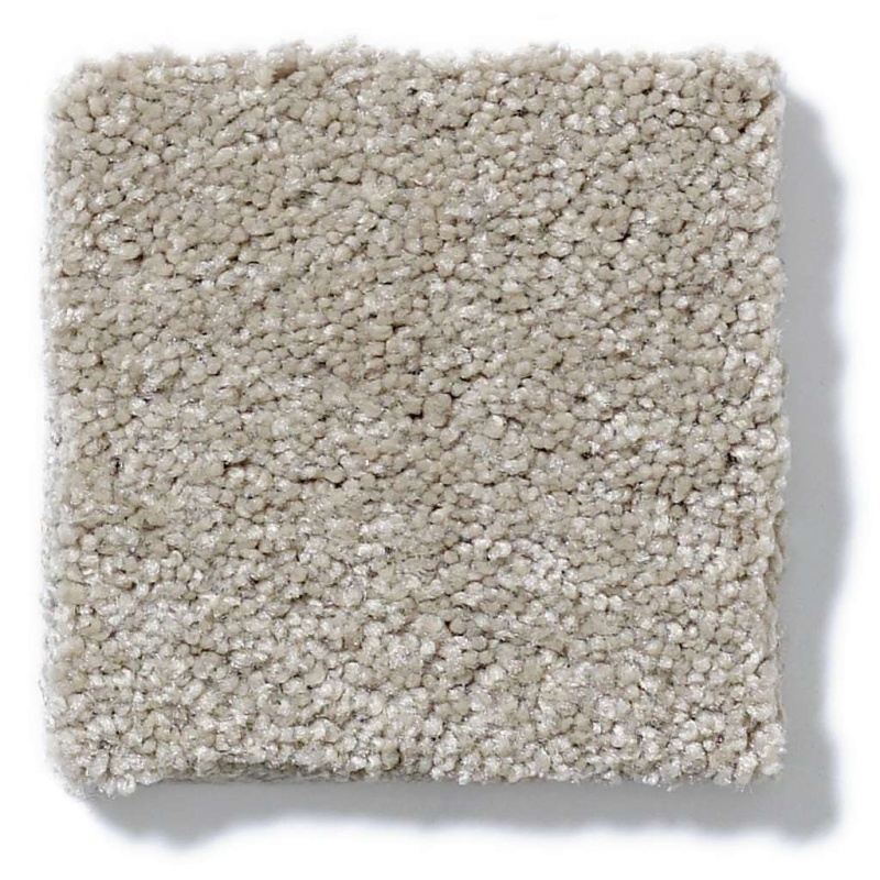 What's Up Coastal Fog Nylon Carpet - Textured