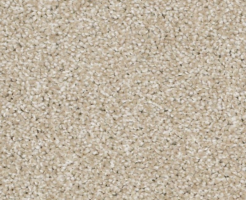 Uncomplicated Frost Nylon Carpet - Pattern
