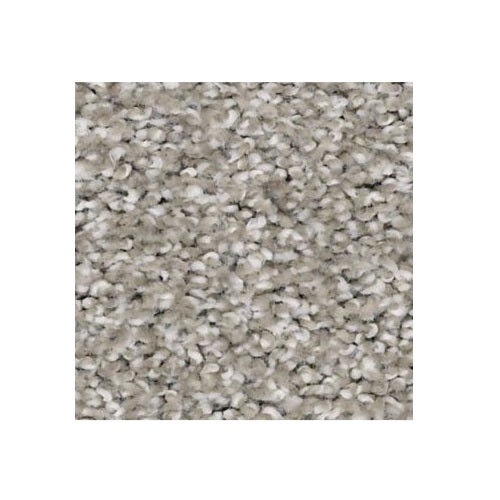 Adam's Pride (T) Marble Nylon Carpet - Textured