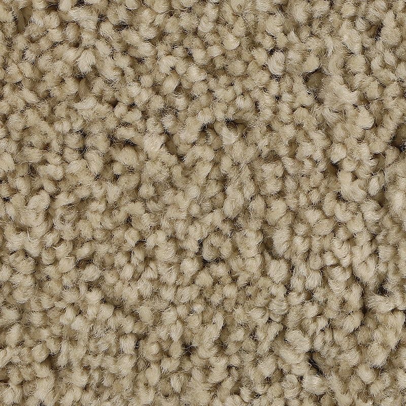 Soft Outlook Quiet Beige Polyester Carpet - Textured
